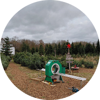 Bio Weihnachtsbaum Schonung